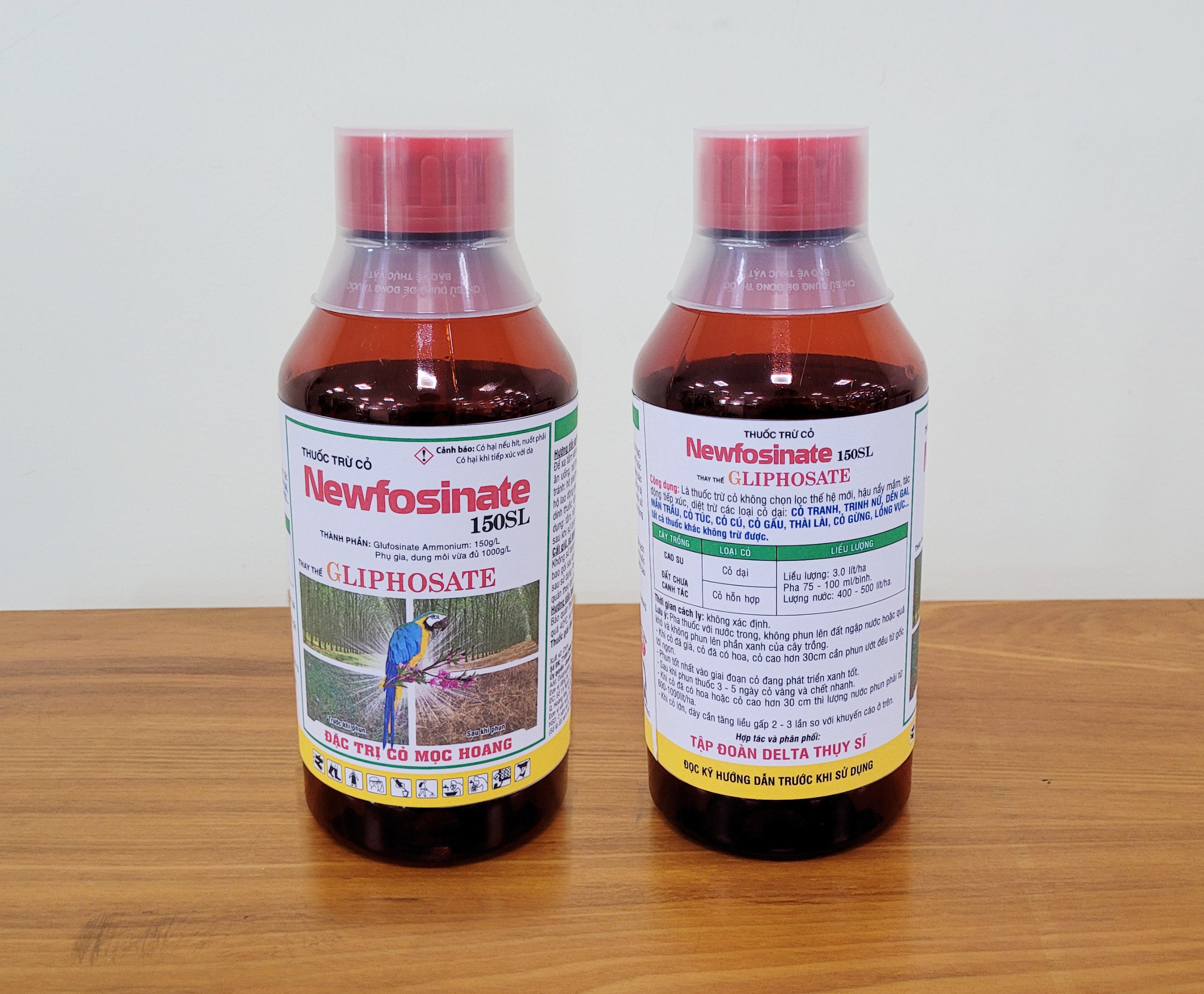 CỎ nhãn VẸT XANH 